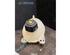 Coolant Expansion Tank DACIA DUSTER (HS_), DACIA DUSTER SUV Van, DACIA LODGY (JS_), DACIA DOKKER Express Box Body/MPV