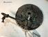 Clutch Kit FIAT DUCATO Van (250_, 290_)