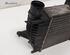 Intercooler RENAULT CLIO III (BR0/1, CR0/1)