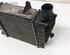 Intercooler RENAULT CLIO III (BR0/1, CR0/1)