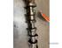 Camshaft VW TRANSPORTER V Bus (7HB, 7HJ, 7EB, 7EJ, 7EF, 7EG, 7HF, 7EC)