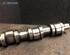 Camshaft VW CADDY III Box Body/MPV (2KA, 2KH, 2CA, 2CH)