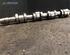 Camshaft VW CADDY III Box Body/MPV (2KA, 2KH, 2CA, 2CH)