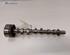 Camshaft RENAULT CAPTUR I (J5_, H5_), RENAULT CLIO IV (BH_)