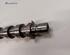 Camshaft RENAULT CAPTUR I (J5_, H5_), RENAULT CLIO IV (BH_)