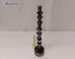 Camshaft RENAULT CAPTUR I (J5_, H5_), RENAULT CLIO IV (BH_)