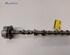 Camshaft AUDI A5 Convertible (8F7)