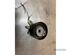 Tensioner Pulley Timing Belt RENAULT CLIO III (BR0/1, CR0/1)