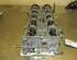 Cylinder Head FORD GALAXY (WA6), FORD S-MAX (WA6)