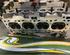 Cylinder Head KIA CARENS III MPV (UN)