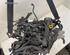 Bare Engine FORD FIESTA VI (CB1, CCN)