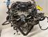 Bare Engine FORD FIESTA VI (CB1, CCN)