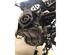 Bare Engine FORD FIESTA VI (CB1, CCN)