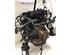 Bare Engine FORD FIESTA VI (CB1, CCN)