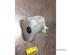 Washer Jet FIAT GRANDE PUNTO (199_), FIAT PUNTO (199_), FIAT PUNTO EVO (199_), ABARTH GRANDE PUNTO