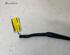 Wiper Arm LAND ROVER RANGE ROVER EVOQUE (L538)