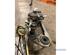 Wiper Motor SEAT IBIZA IV (6J5, 6P1)