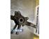 Wheel Hub RENAULT KANGOO Express (FW0/1_), RENAULT KANGOO / GRAND KANGOO (KW0/1_)