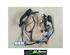 Wiring Harness VW GOLF VII (5G1, BQ1, BE1, BE2), VW GOLF VII Variant (BA5, BV5), VW GOLF VIII Variant (CG5)