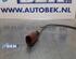 Sensor AUDI A3 (8P1), AUDI A3 Sportback (8PA)