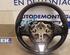 Steering Wheel RENAULT Clio IV Grandtour (KH)