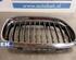 Radiator Grille BMW 3er (E90)