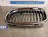 Radiator Grille BMW 3er (E90)