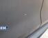 Door BMW X5 (G05, F95)