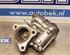 EGR Valve RENAULT Captur I (H5, J5), RENAULT Clio IV (BH)