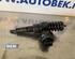 Injector Nozzle VW Lupo (60, 6X1)