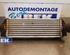 Intercooler FORD Transit Connect (P65, P70, P80)