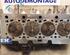 Cylinder Head RENAULT Clio IV Grandtour (KH)