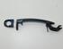 Door Handle VW POLO (9N_)