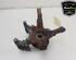 Stub Axle DACIA SANDERO III