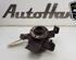 Stub Axle RENAULT LAGUNA III (BT0/1)