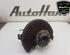 Stub Axle AUDI A3 (8P1), AUDI A3 Sportback (8PA), VW GOLF V (1K1), VW GOLF VI (5K1)