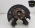 Stub Axle SKODA OCTAVIA II Combi (1Z5)