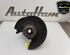 Stub Axle AUDI A4 Avant (8K5, B8), AUDI A5 Sportback (8TA)