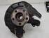 Stub Axle SKODA FABIA II (542)