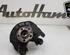 Stub Axle SKODA FABIA II (542)