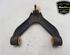 Track Control Arm IVECO DAILY IV Dump Truck