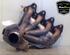 Exhaust Manifold RENAULT SCÉNIC II (JM0/1_)