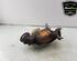 Catalytic Converter OPEL ADAM (M13)