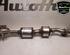 Catalytic Converter SKODA OCTAVIA IV Combi (NX5)