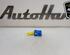 Waaschuwingsknipperrelais HYUNDAI i10 (PA)