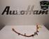 Wiring Harness CUPRA FORMENTOR (KM7), SKODA OCTAVIA IV Combi (NX5), CUPRA LEON (KL1, KU1)