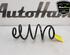 Feder hinten Renault Clio V BF 550201258R P16165735