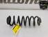 Coil Spring VW TIGUAN (AD1, AX1), VW TIGUAN ALLSPACE (BW2)