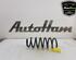 Coil Spring RENAULT KADJAR (HA_, HL_), NISSAN QASHQAI II SUV (J11, J11_)