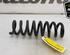 Coil Spring BMW 3 Touring (F31)